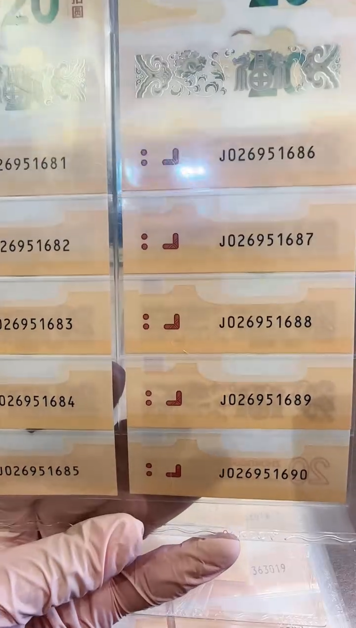 【闪购商品】塑料2024龙钞标十啊啊啊啊啊