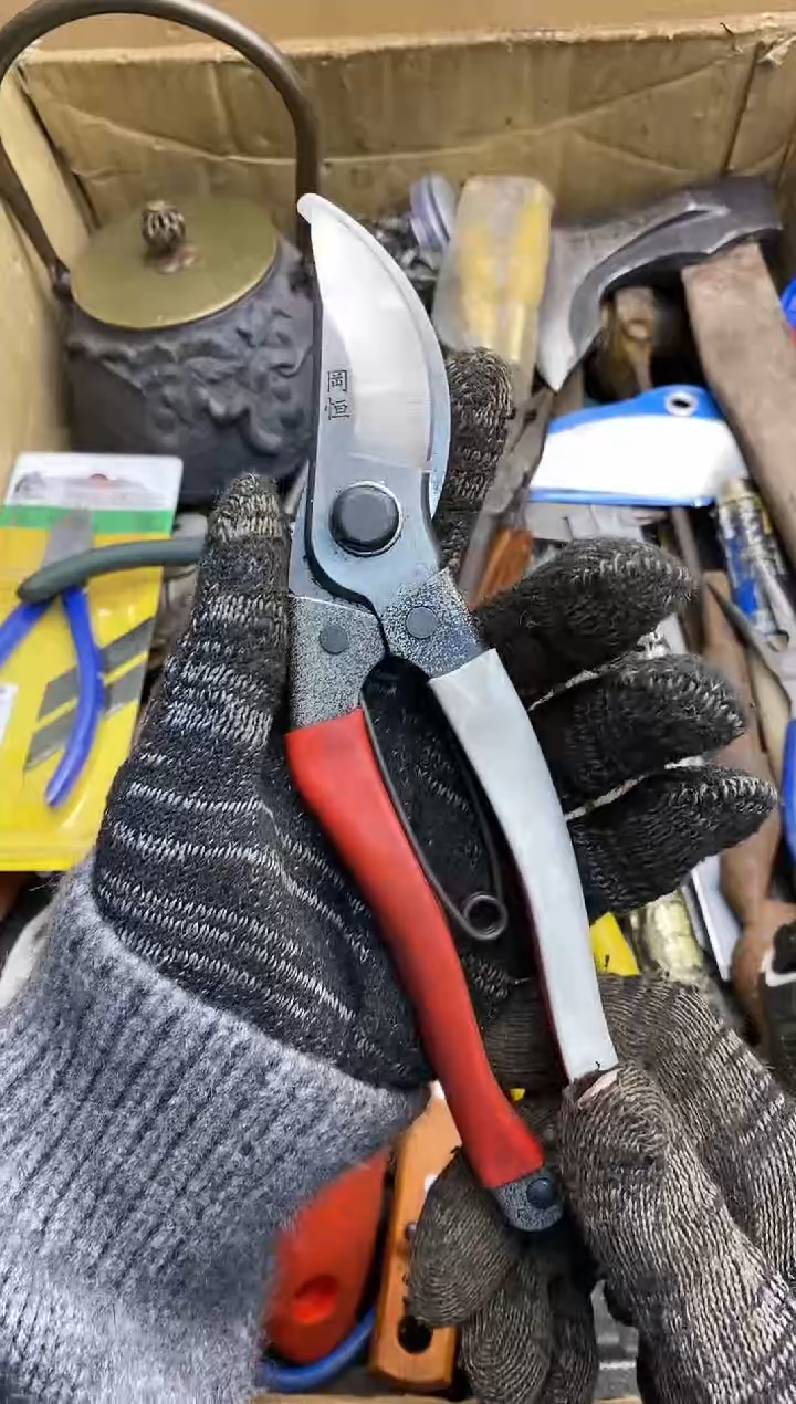 清*， 五金园艺工具厨具专属闪购链接