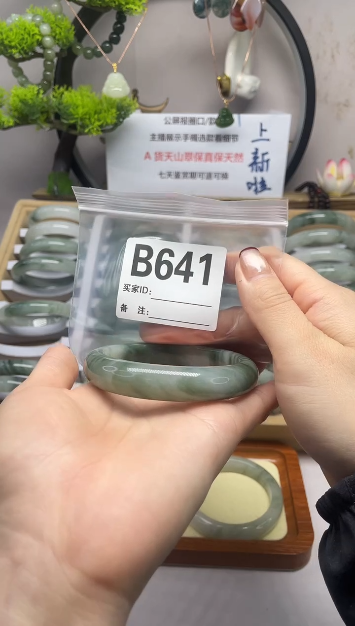 【闪购商品】石英质玉（天山翠）手镯未镶嵌b641