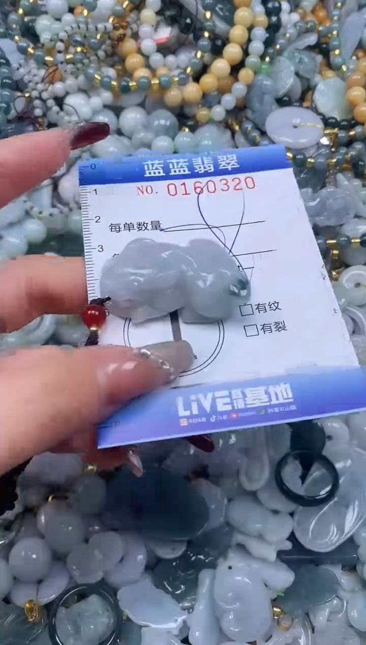 【闪购商品】翡翠颈饰未镶嵌闪购0160320