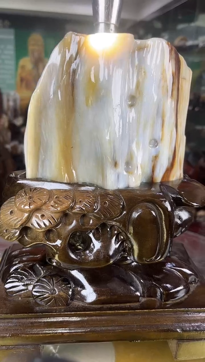 未镶嵌珠宝奇石硅化玉缅甸天然树化玉摆件 