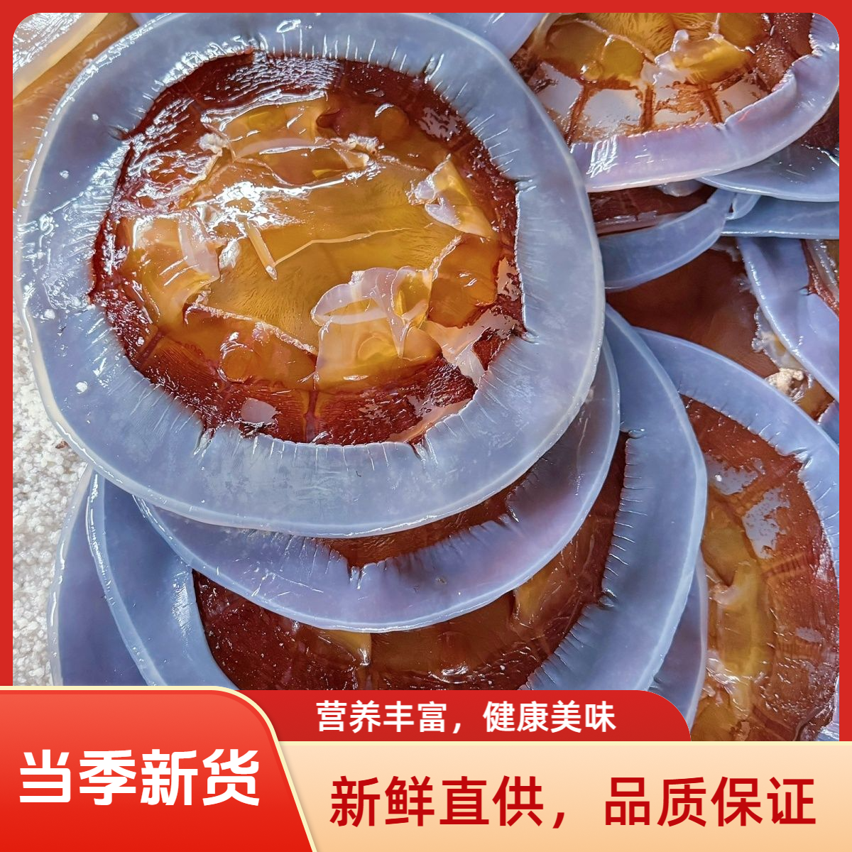 黄海冷水海蜇盖5斤 三矾三盐非即食 凉拌爽口 天然海鲜美食p