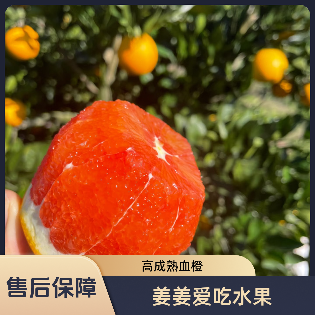 【血橙】血橙 富含花青素 香甜多汁 净重4.6斤一箱