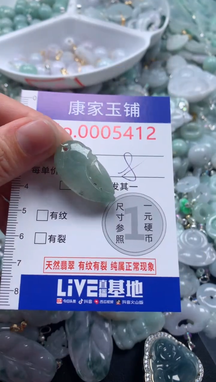 颈饰未镶嵌翡翠54121