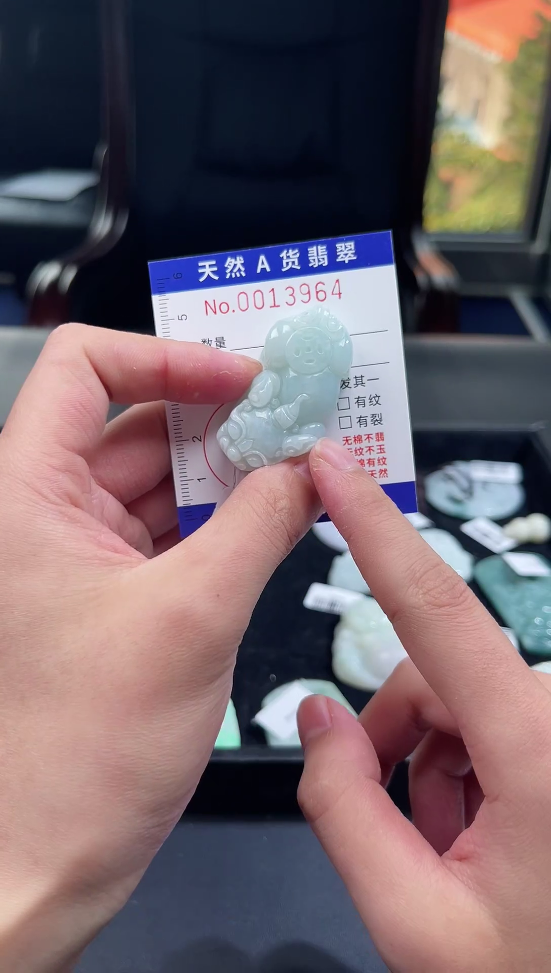 【闪购商品】翡翠颈饰未镶嵌天然翡翠13964