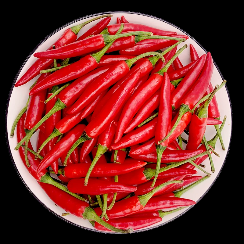 小米辣 新鲜采摘特辣小米椒现摘现发可做泡椒剁椒