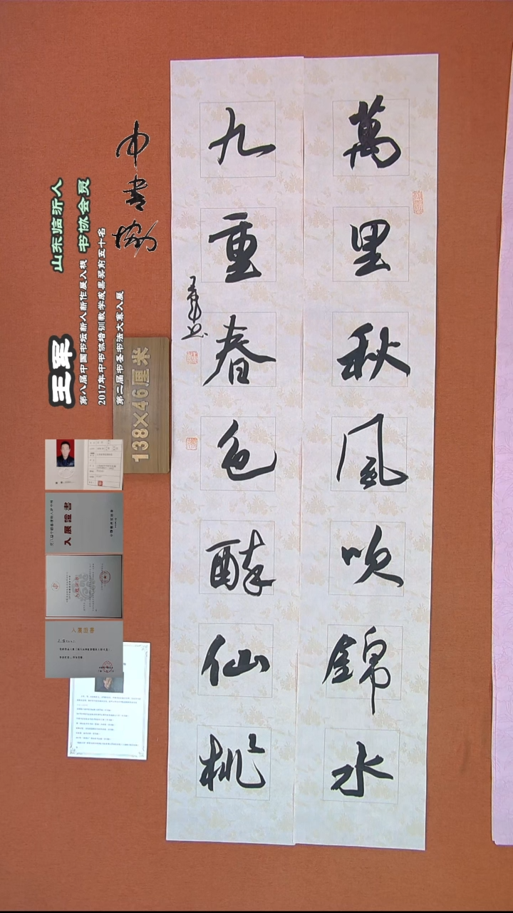 【闪购商品】书法267王军书法作品