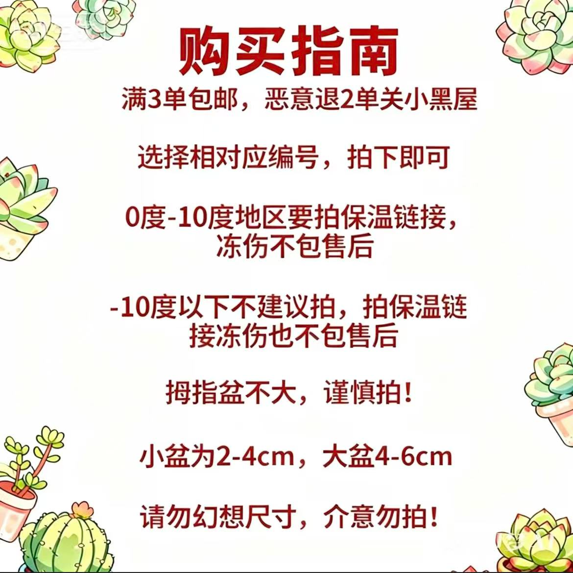 精品卡通手绘瓷盆多肉盆栽