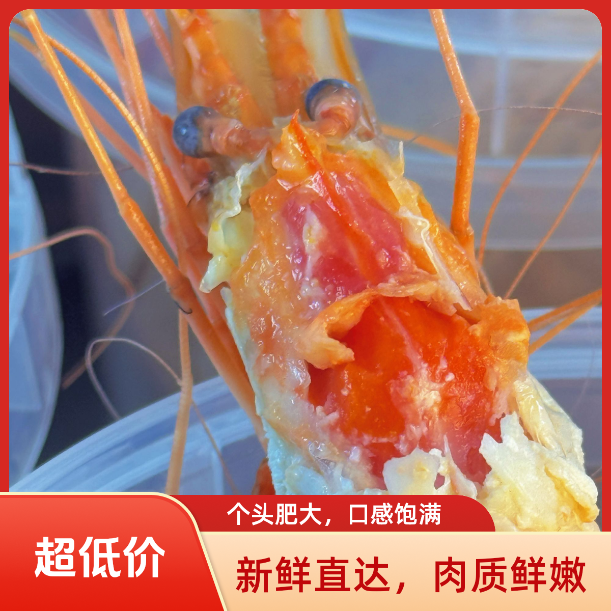 【顺丰直达】【两桶装】开罐即食熟醉罗氏虾带膏大头虾秘制柠檬花雕话梅含汤2000g顺丰冷链ZZ美食