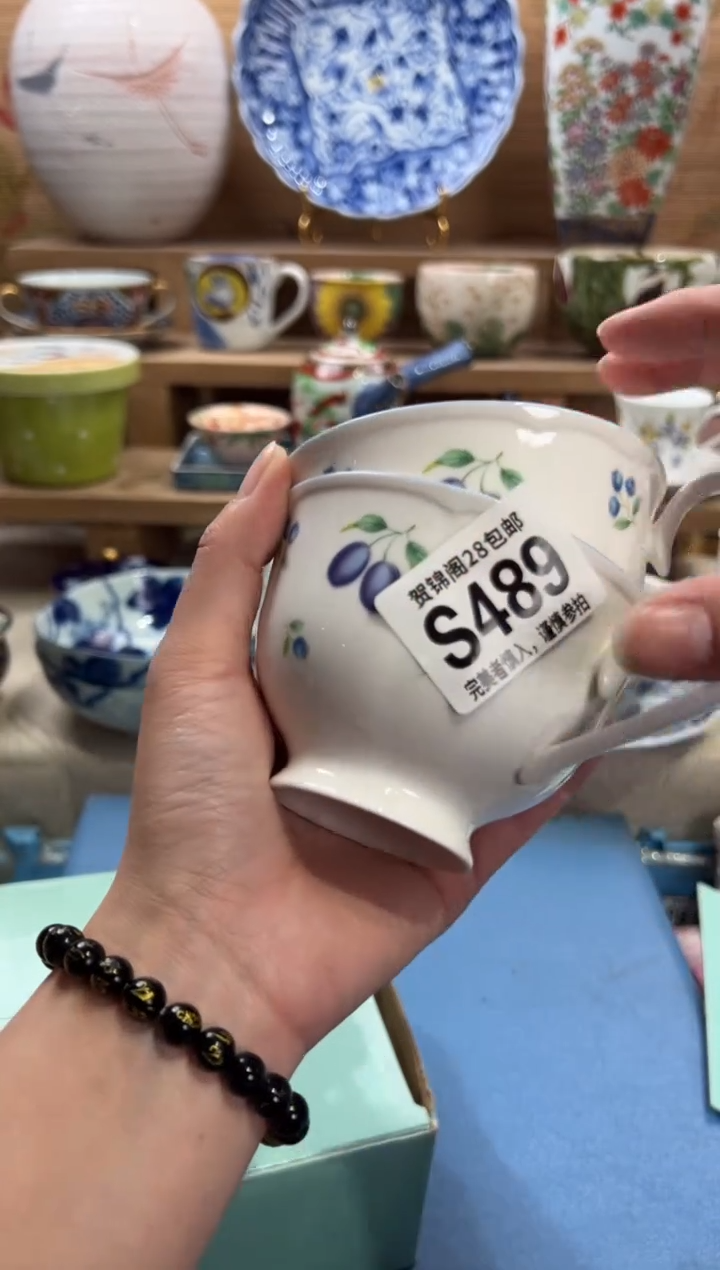 瓷片素**颜     S489