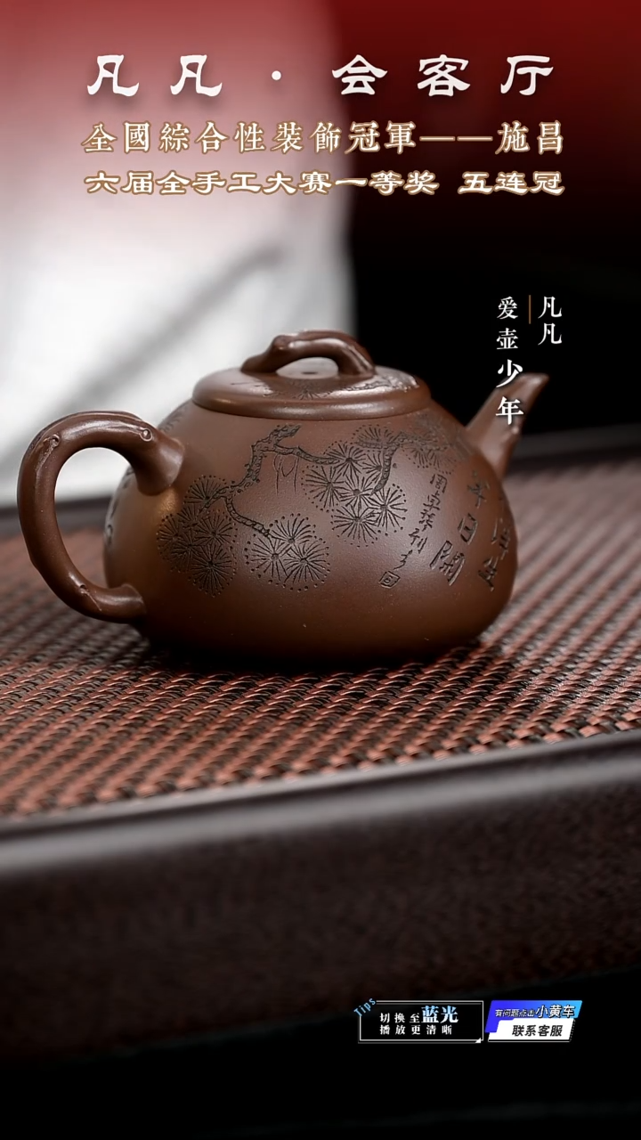 茶壶紫砂凡凡会客厅 紫砂壶19 松针石瓢紫泥175cc