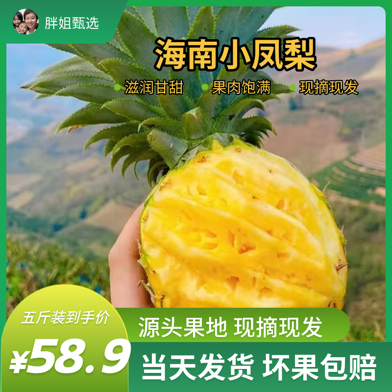 海南小凤梨单果250g五斤装十斤装包邮基地直发时令水果