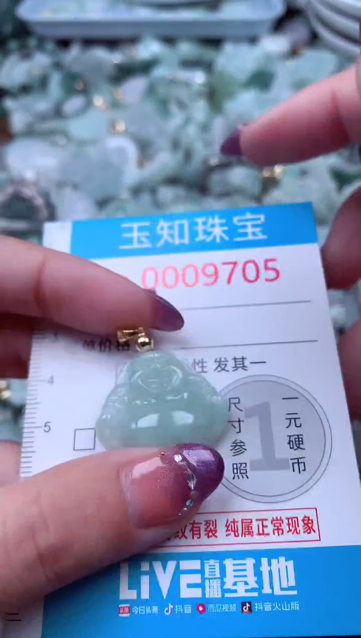 翡翠未镶嵌吊坠(不含链)9705