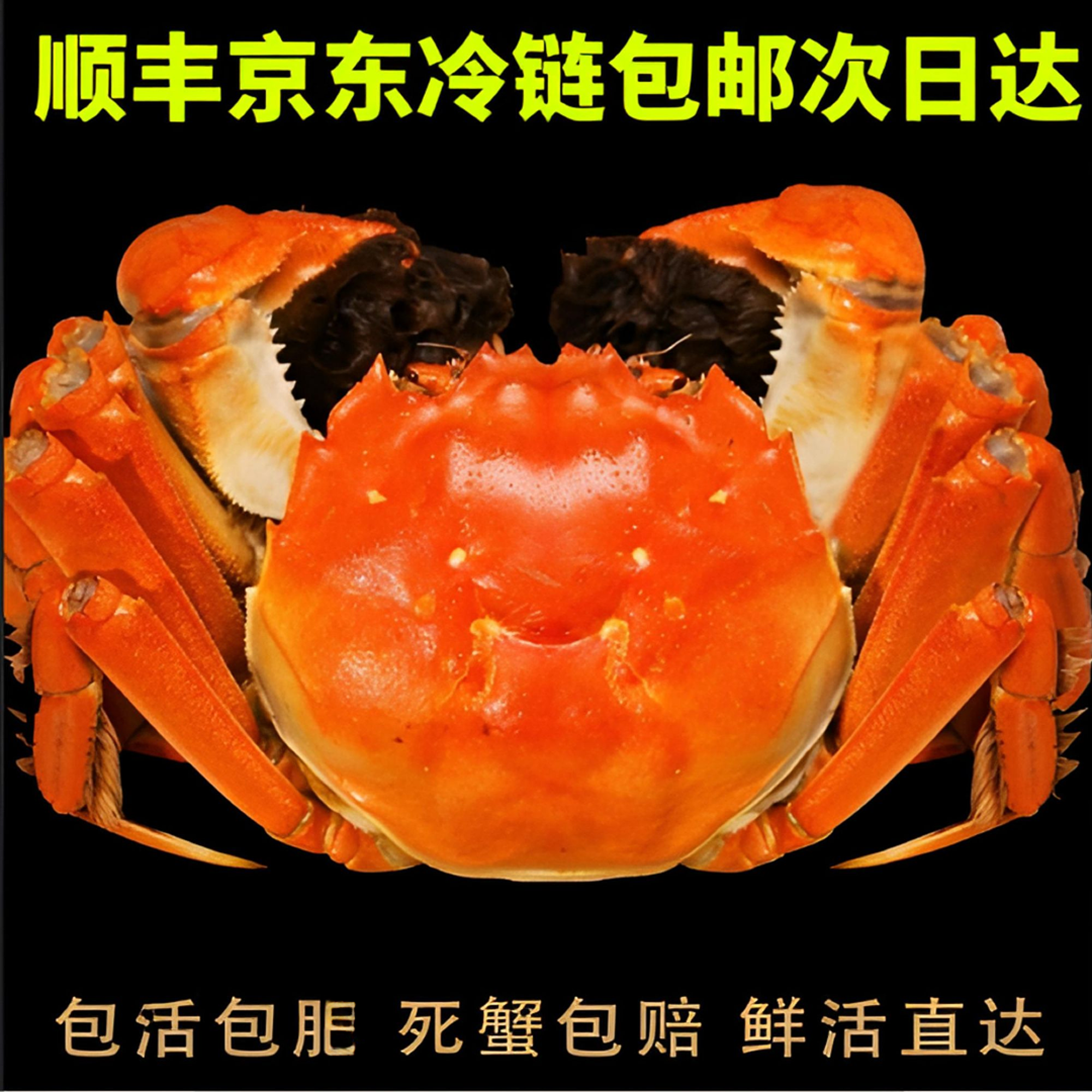 【活蟹】现捕现捞大闸蟹全母3-2.7两到手8-10只N