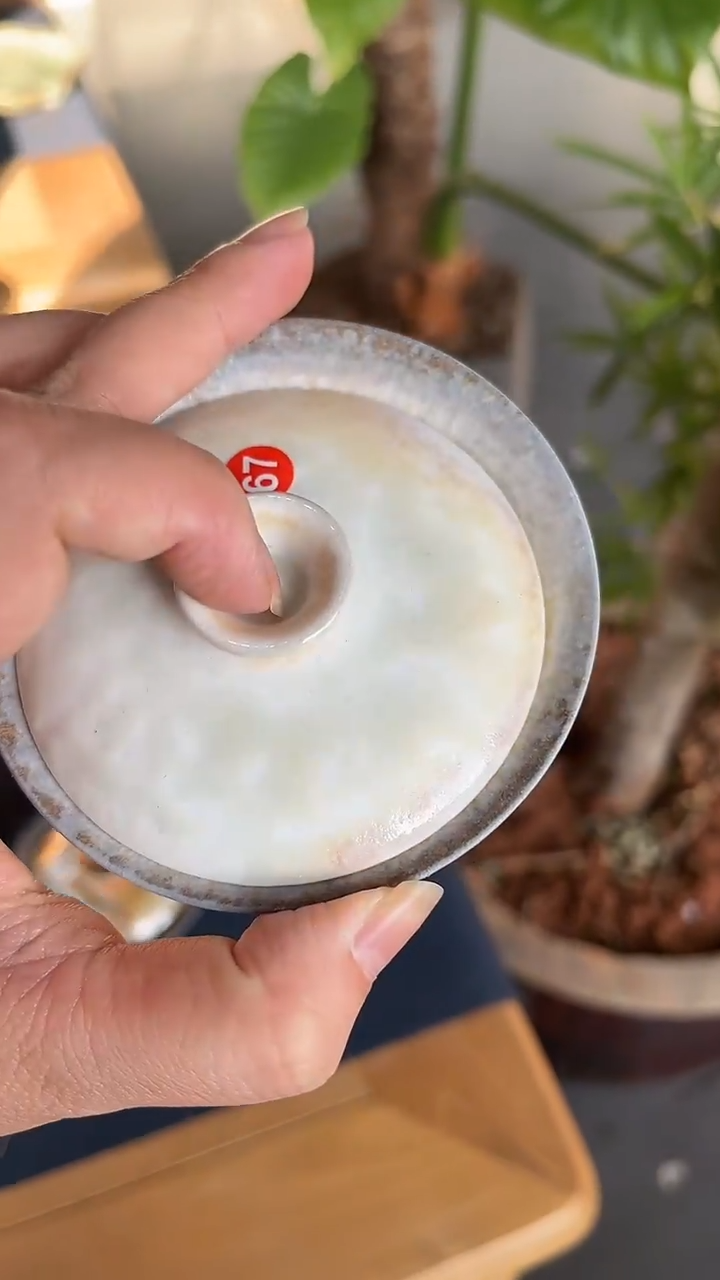 【闪购商品】盖碗67号容量100-120ML