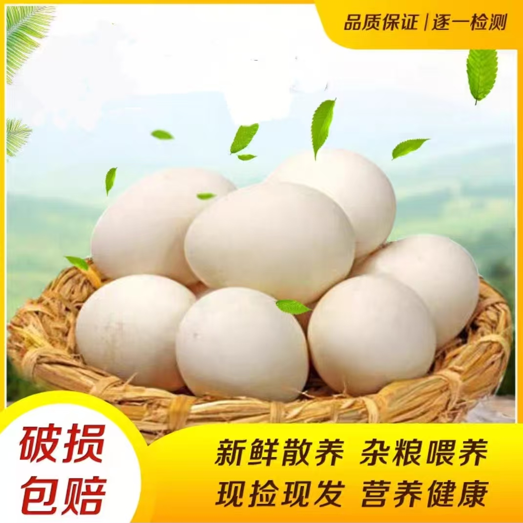 【大方】农家散养雁鹅蛋12枚80-95克/枚 破损包赔