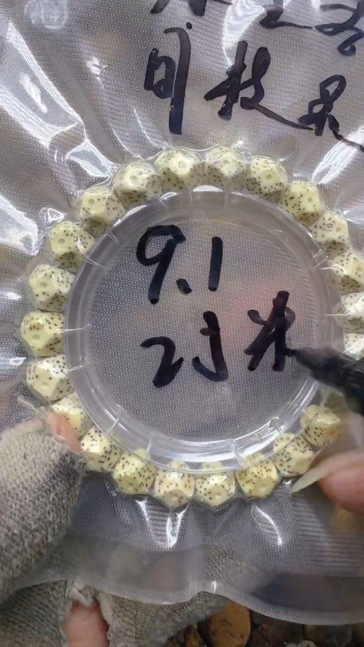 【闪购商品】星月菩提吊坠请客手作精品文玩3