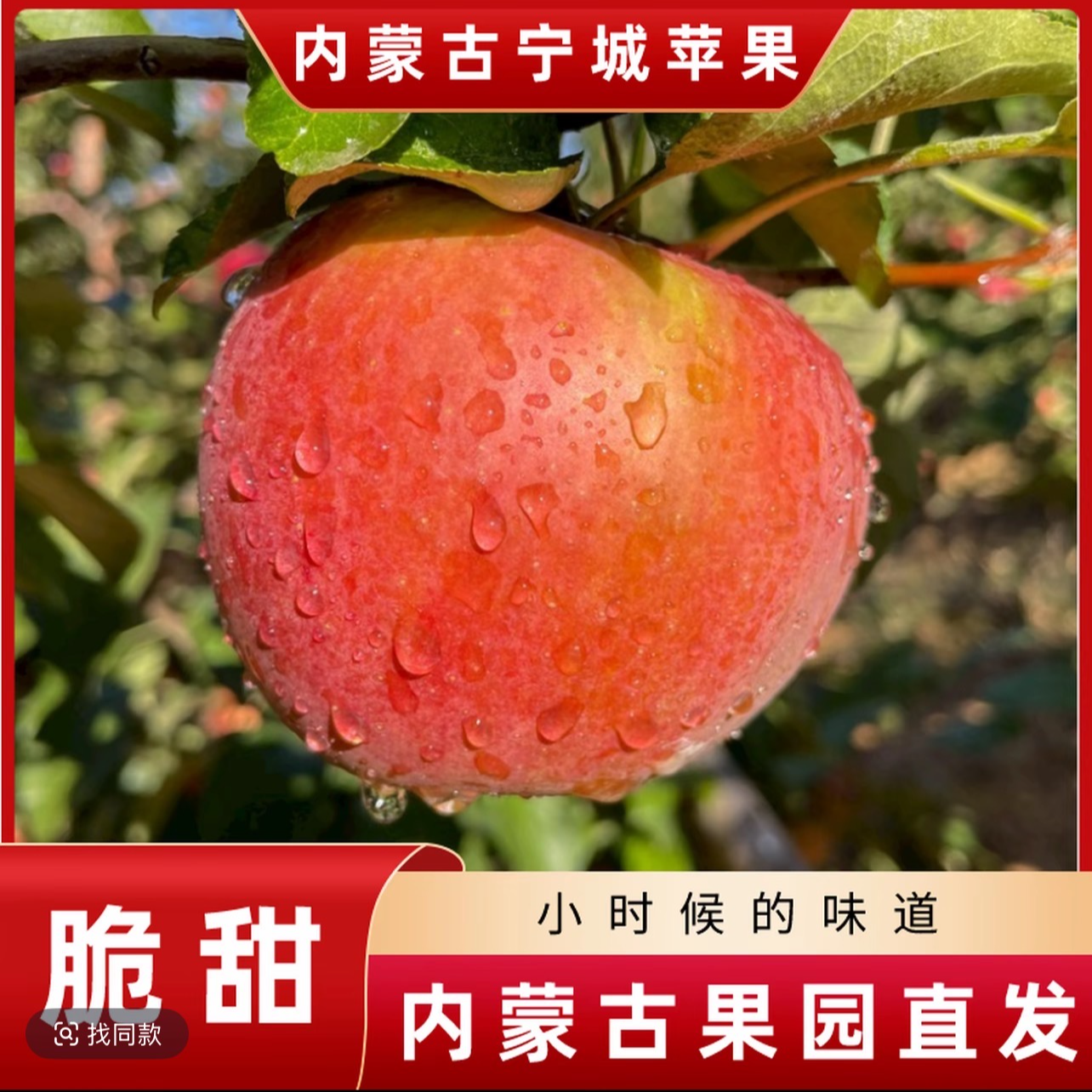 当季水果宁城富硒苹果果农直发坏果包赔 脆甜多汁精品苹果