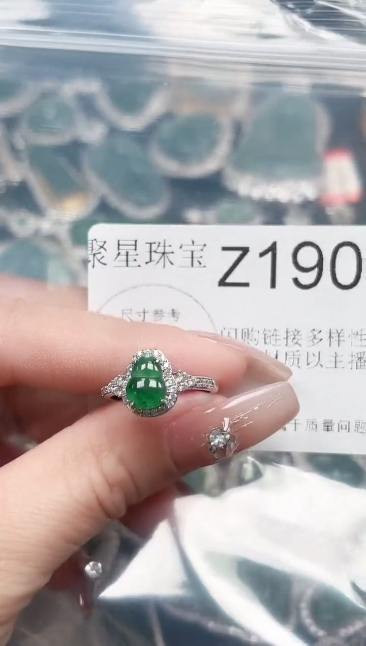 【闪购商品】翡翠颈饰未镶嵌赠皮绳190