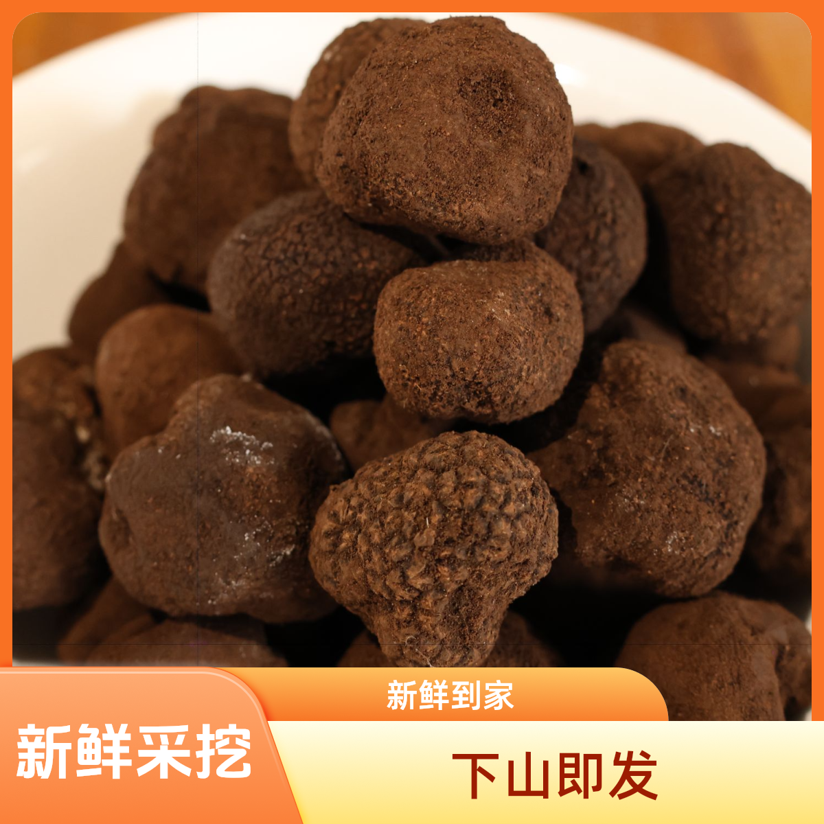 云南新鲜野生黑松露