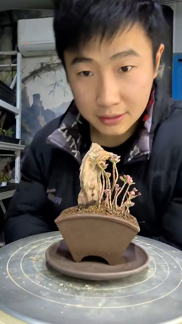 ?中青园艺一物一拍花472