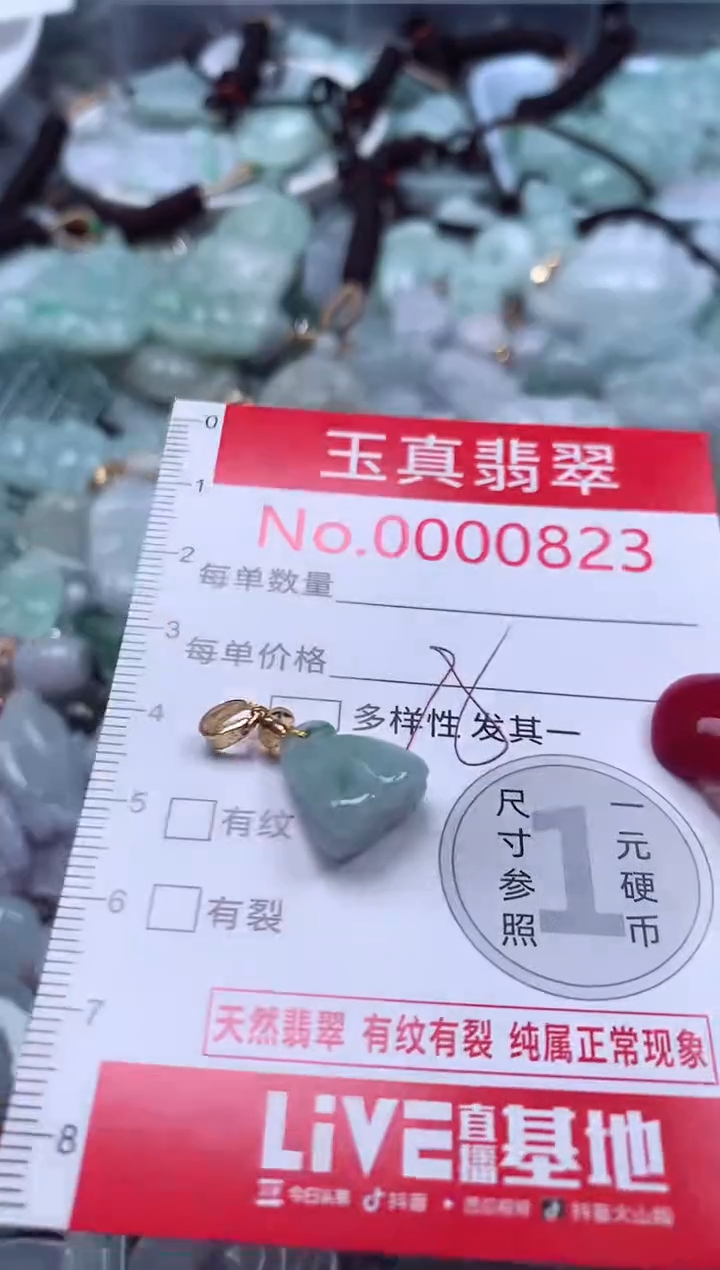 颈饰未镶嵌翡翠823