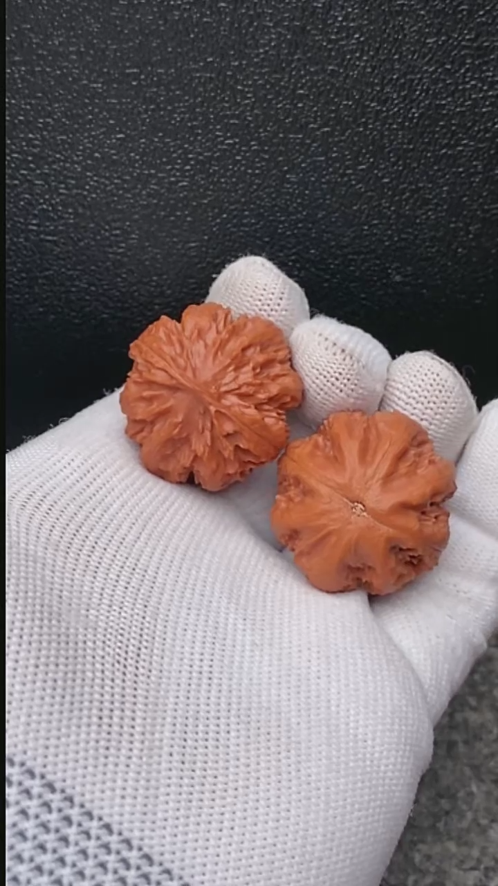 【闪购商品】文玩核桃把件粗筋霸王龙