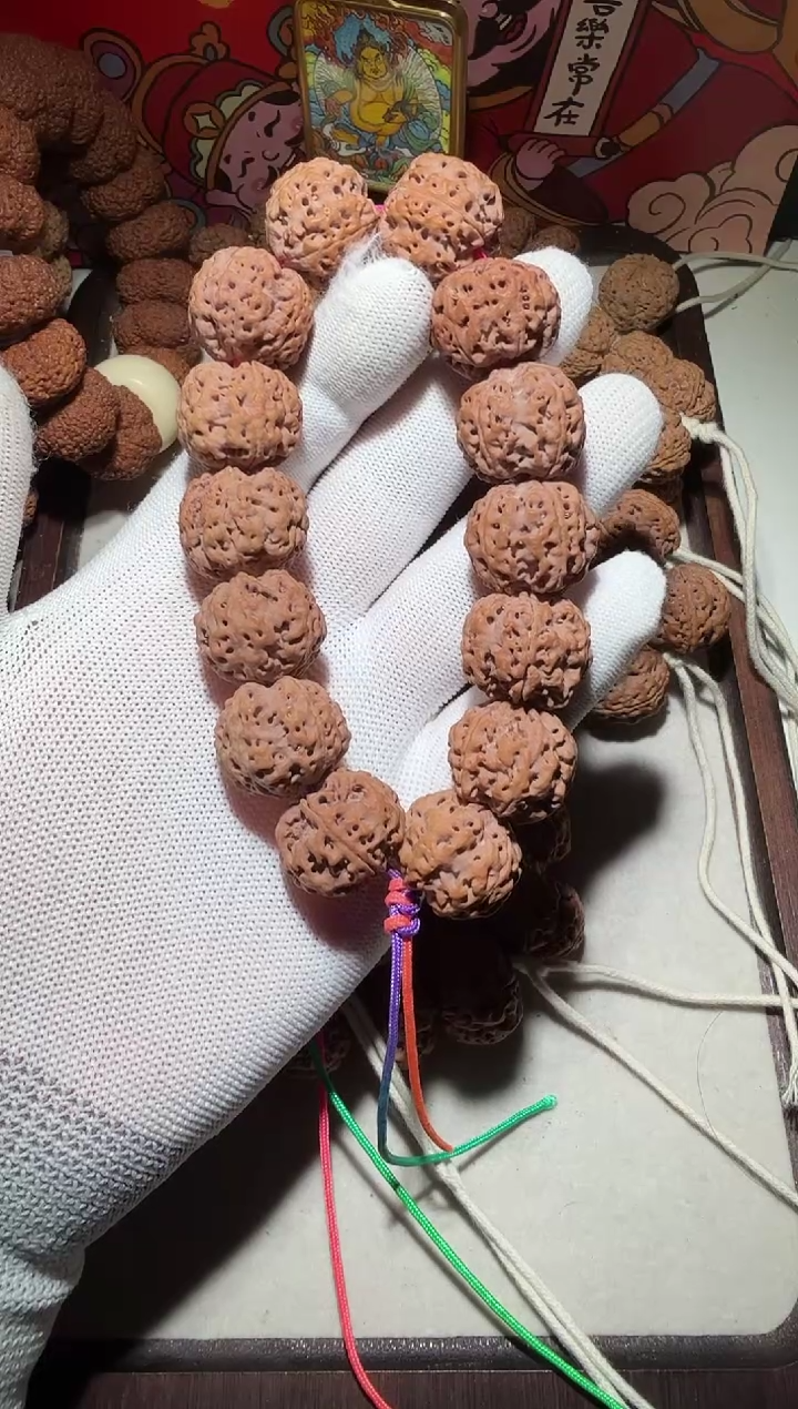 【闪购商品】金刚菩提手串福利22粗筋双龙