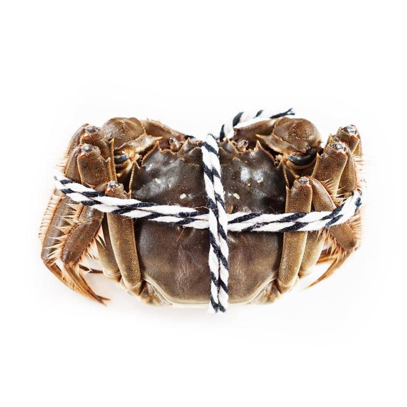 江苏清水大闸蟹组合（2两母*3只+3两公*3只）