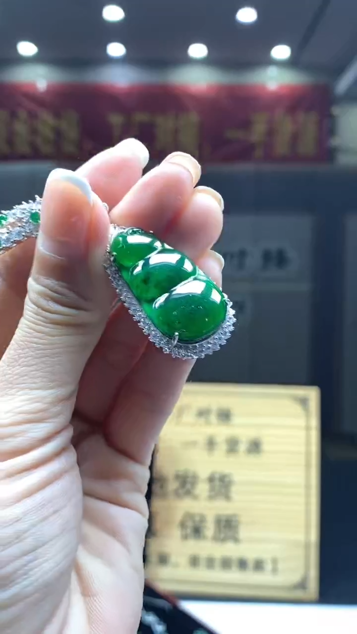【闪购商品】翡翠颈饰未镶嵌********665