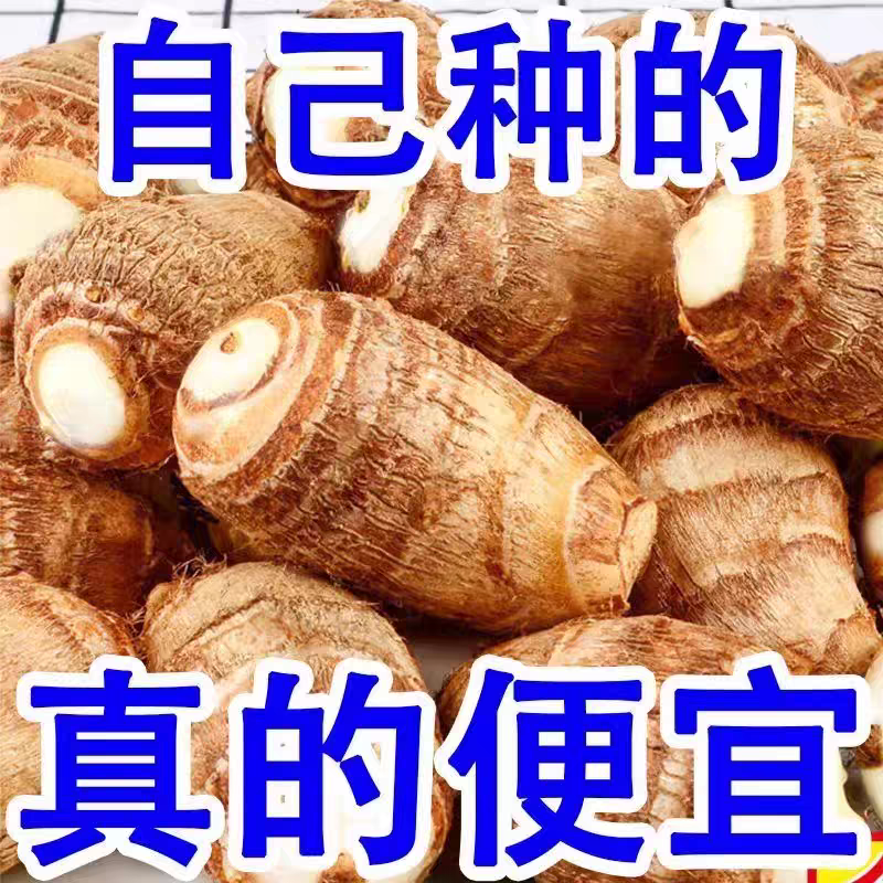 云南荔浦正宗小芋头新鲜粉糯香芋蔬菜