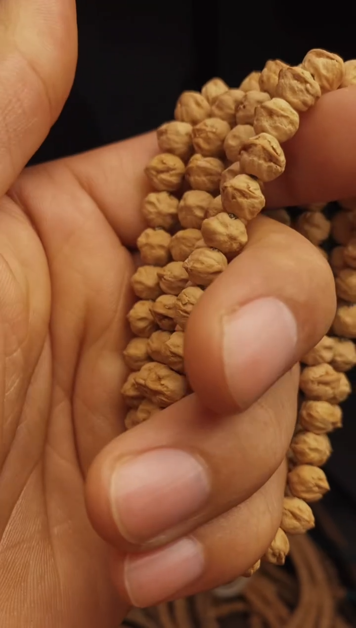 柏香籽/百香籽手串白芽原装横打