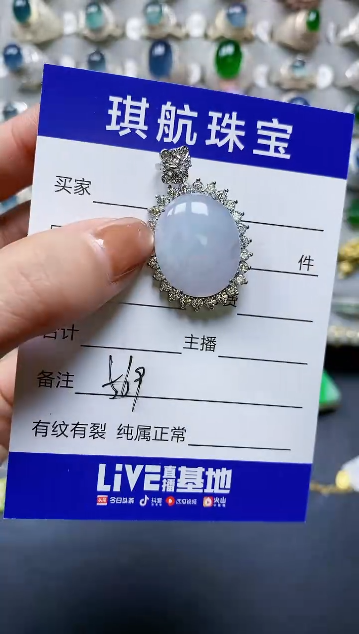 【闪购商品】翡翠颈饰银S925镶嵌0569