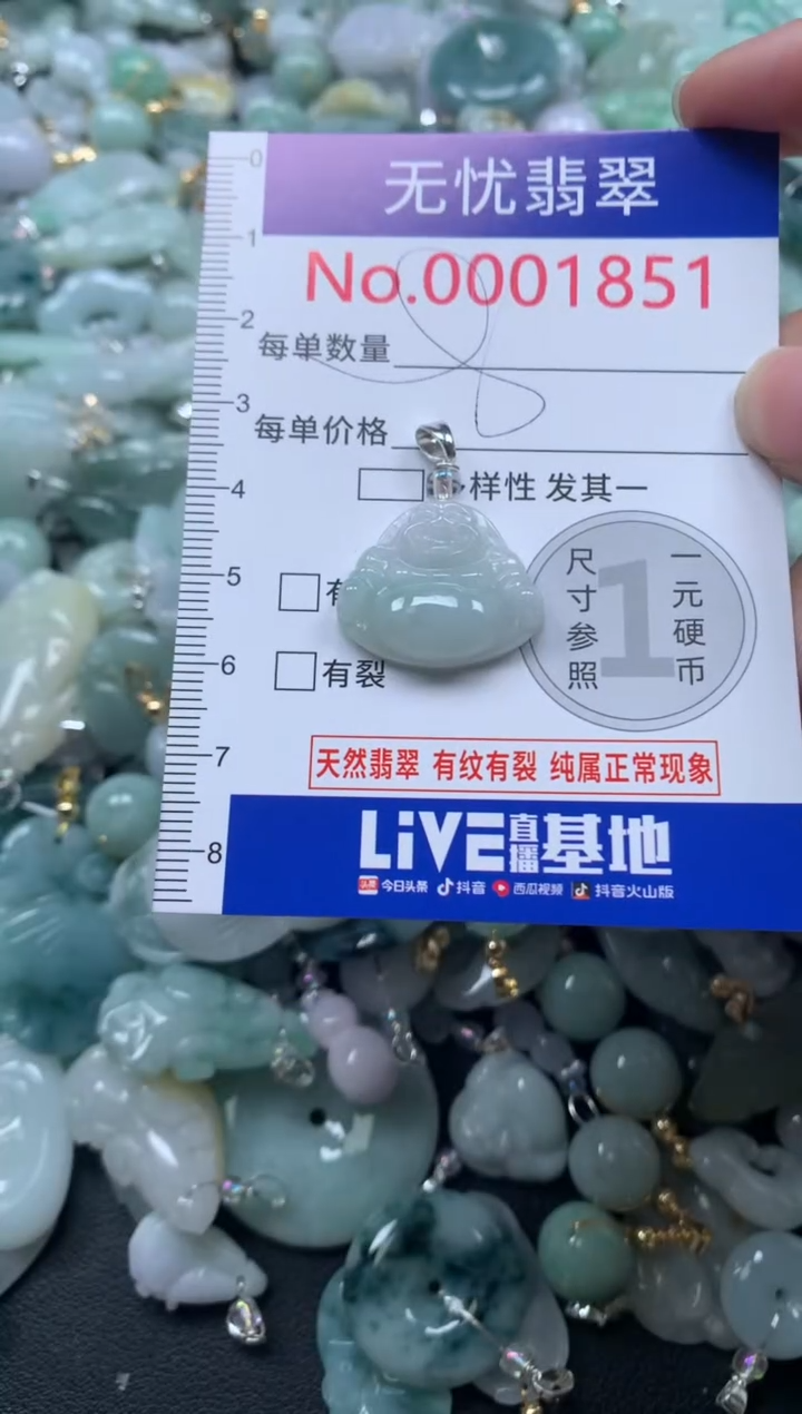 颈饰未镶嵌翡翠1851