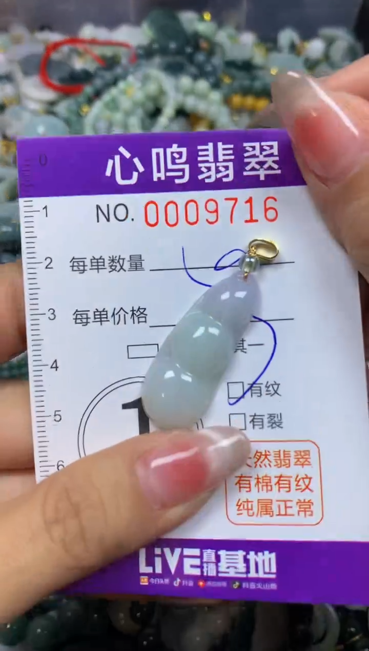【闪购商品】翡翠颈饰未镶嵌闪购009716