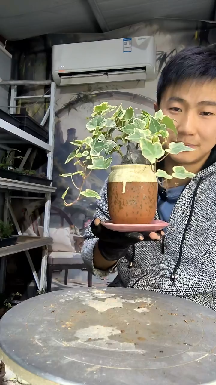 K****_中青园艺一物一拍花65