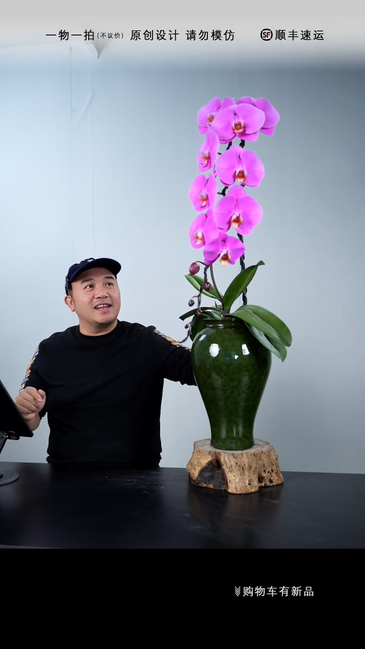 【闪购商品】073号链接【一物一拍】艺术盆景