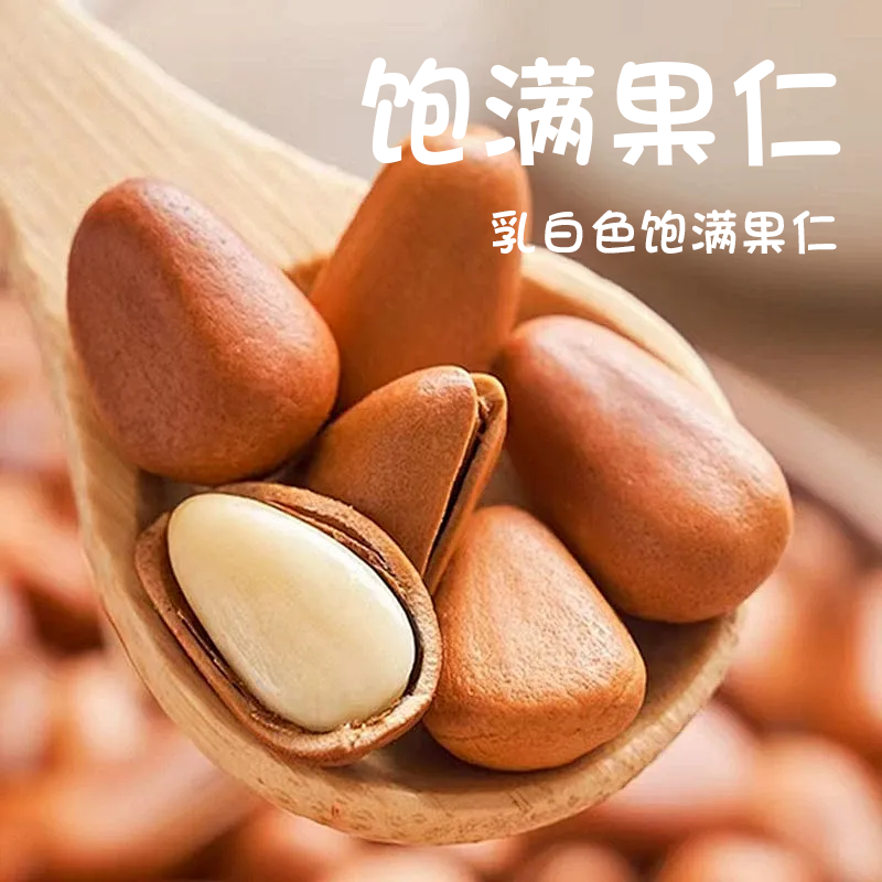 【新货】开口松子坚果干果食品罐装大颗粒零食开口松子味美新鲜营养