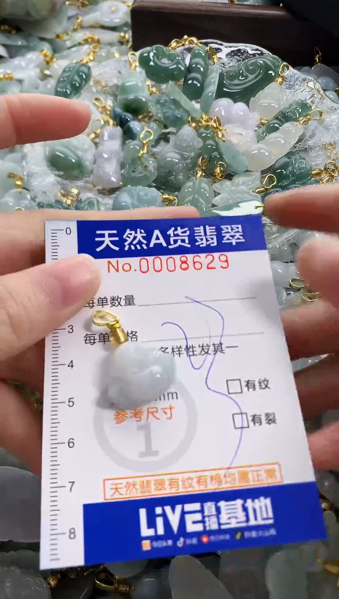 颈饰未镶嵌翡翠天然A货翡翠