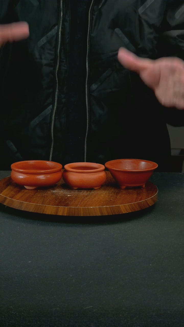 【闪购商品】紫砂G4