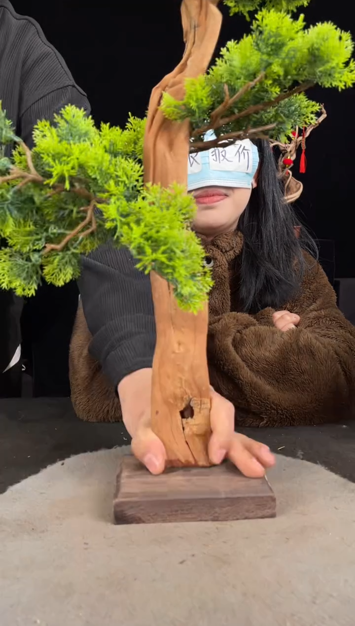 【闪购商品】柏木（崖柏）其他手工摆件,先抢先得!