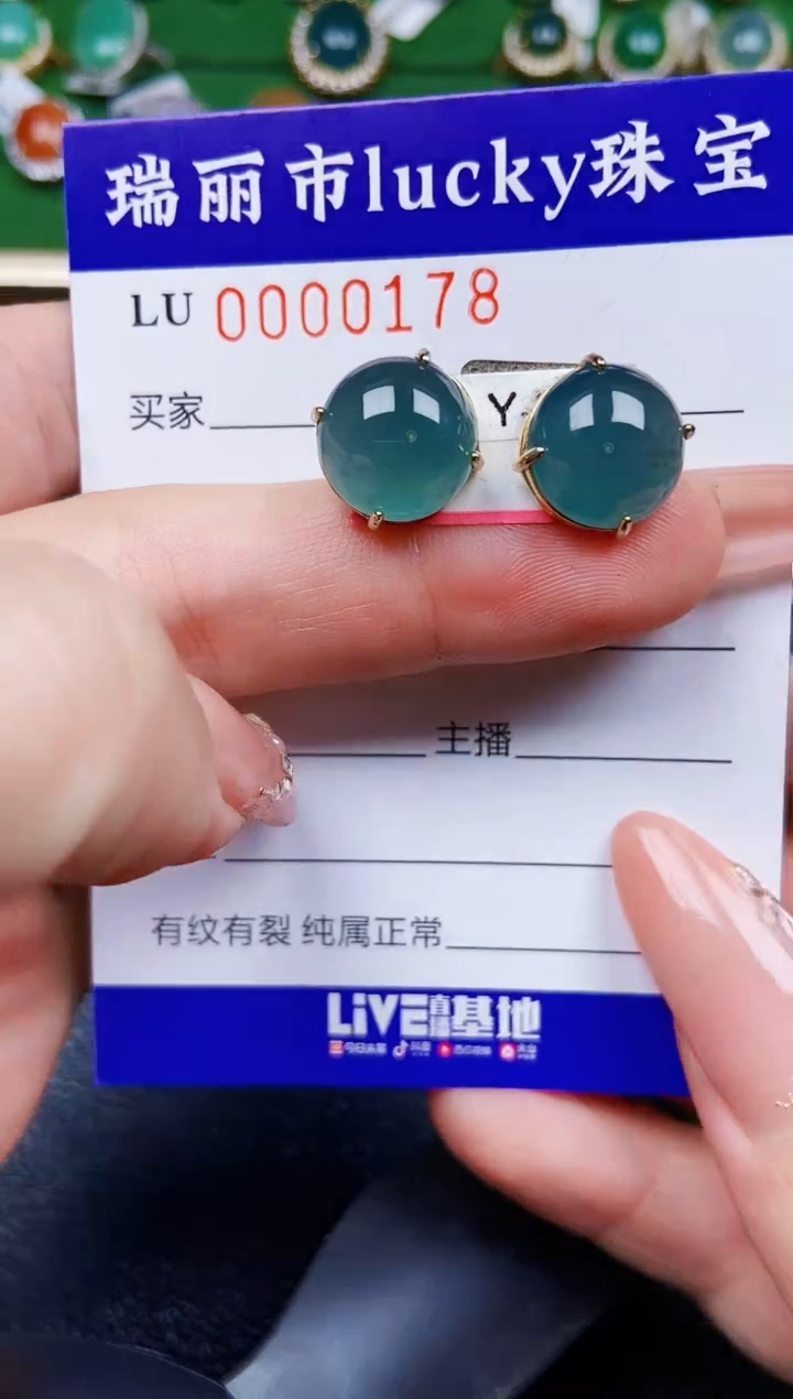 【闪购商品】翡翠颈饰银S925镶嵌0178