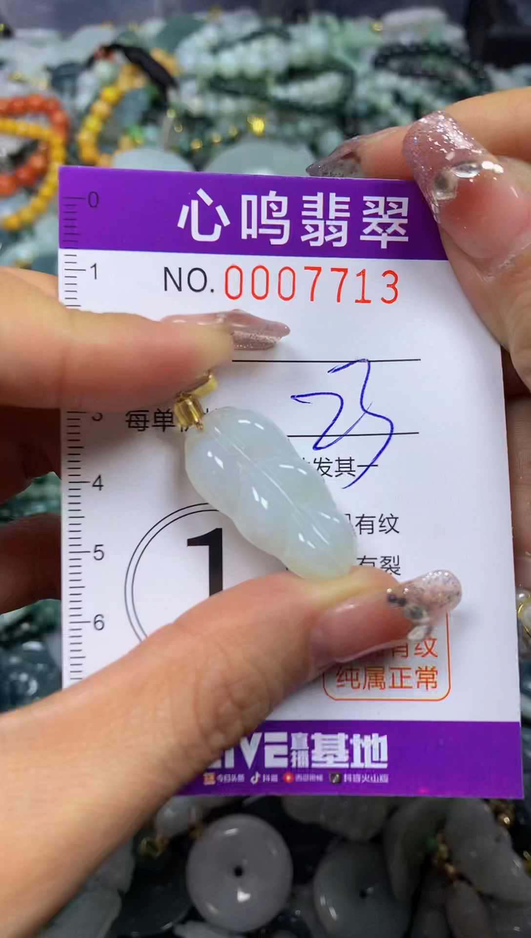 【闪购商品】翡翠颈饰未镶嵌闪购007713