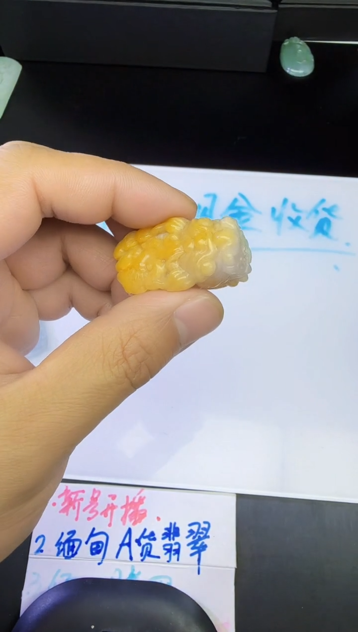 【闪购商品】翡翠颈饰未镶嵌貔貅