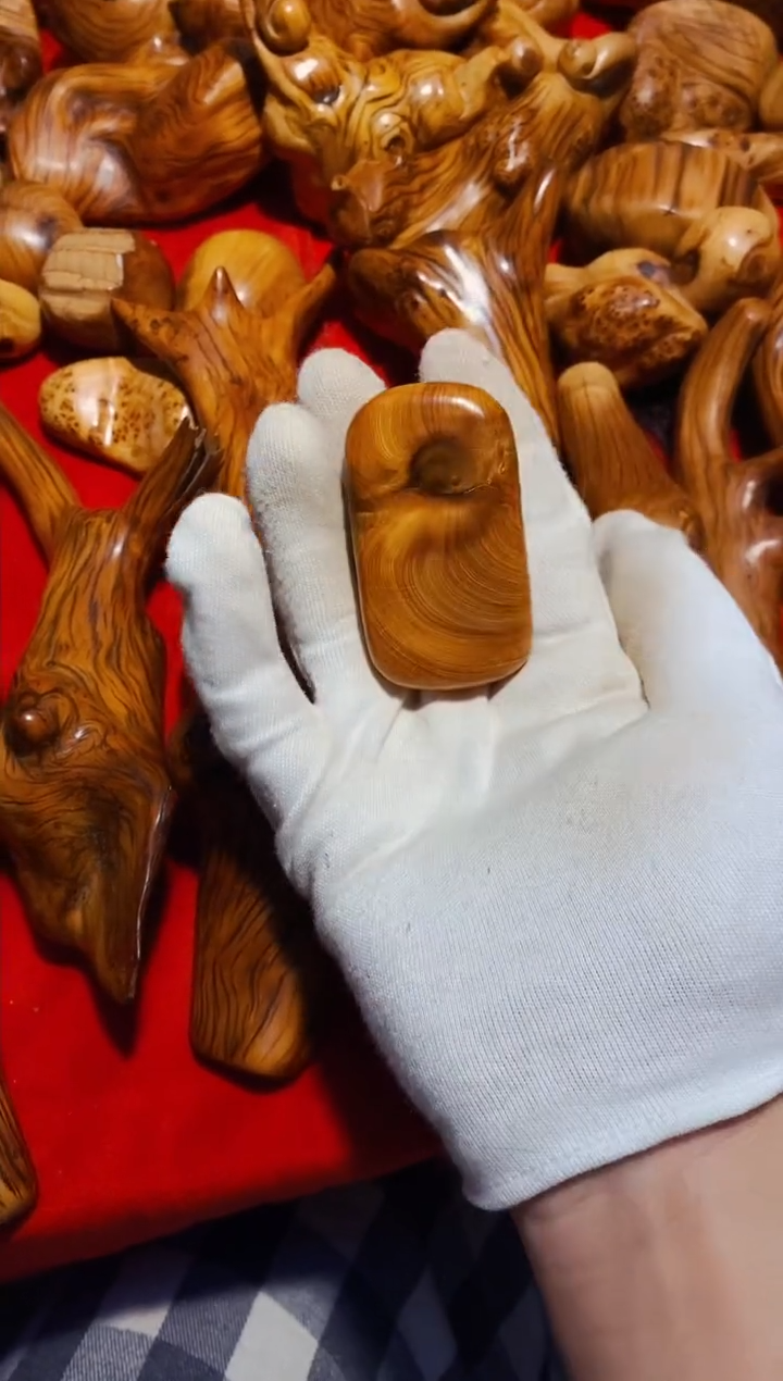 【闪购商品】柏木71崖柏崖柏崖柏