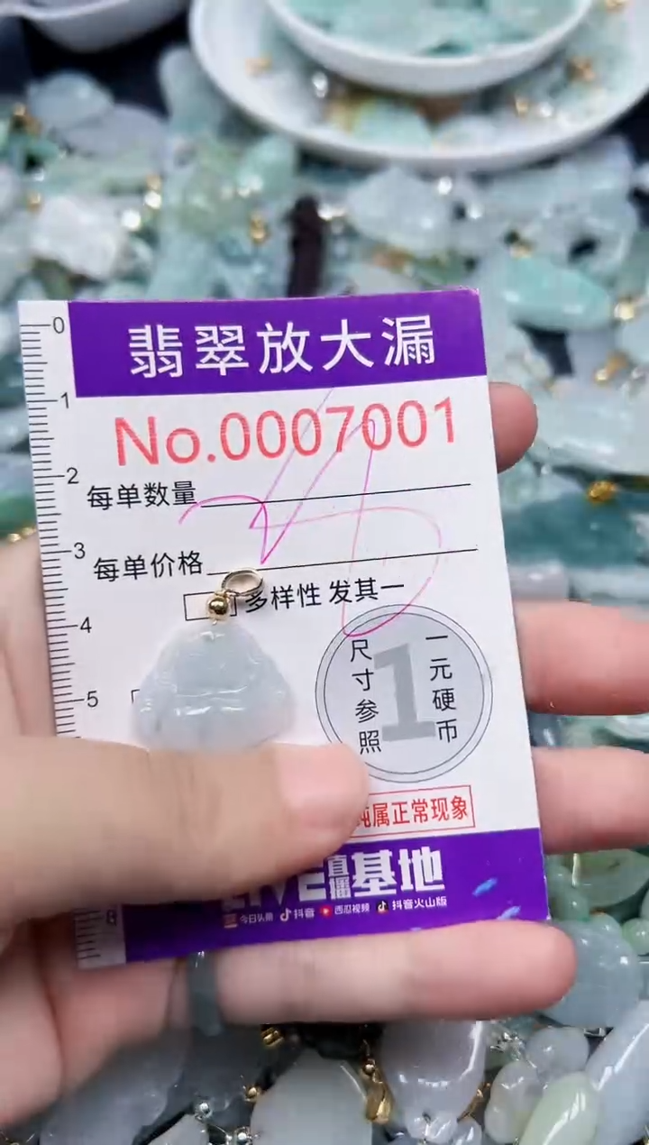 颈饰未镶嵌翡翠7001