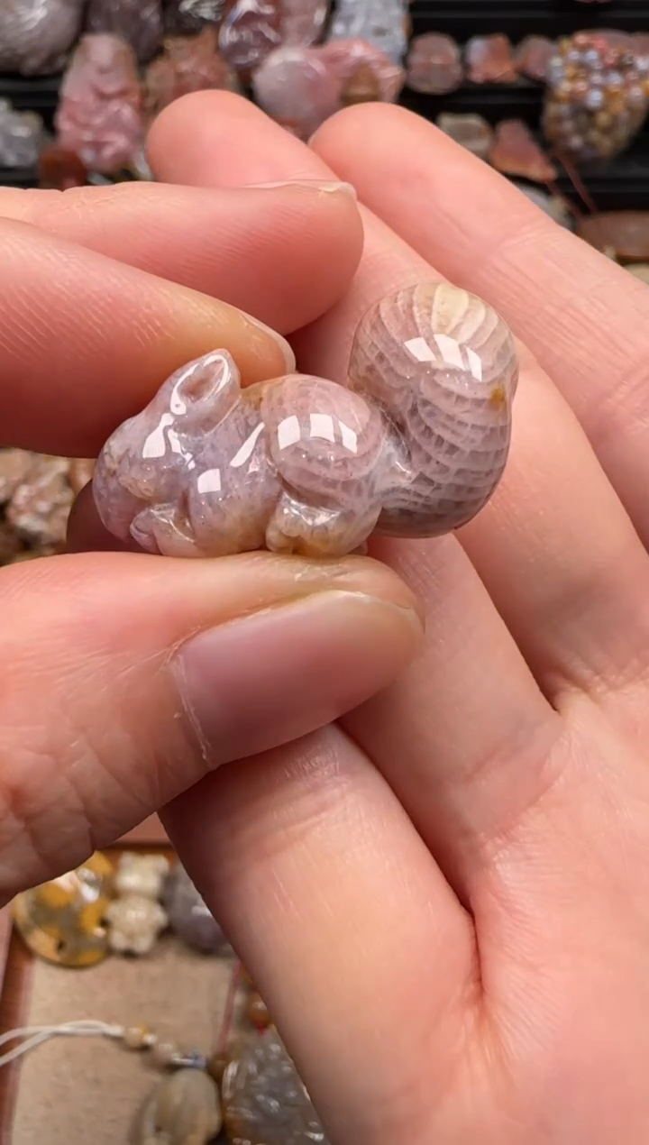 【闪购商品】硅化珊瑚（珊瑚玉）颈饰未镶嵌286