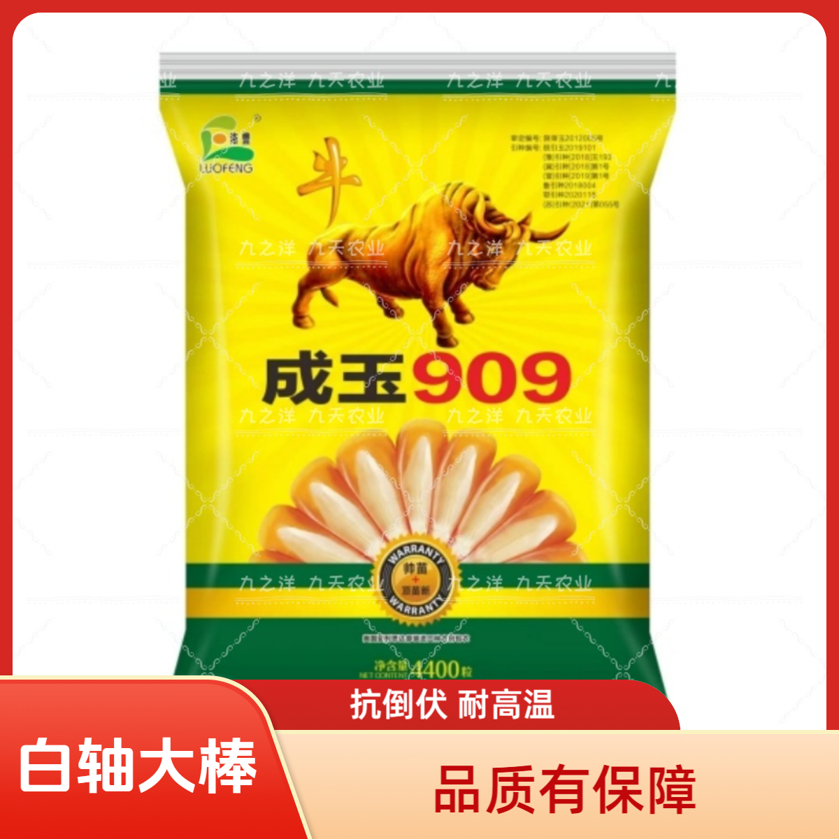 白轴大棒抗倒伏成玉909黄淮黄区域种高产玉米品种