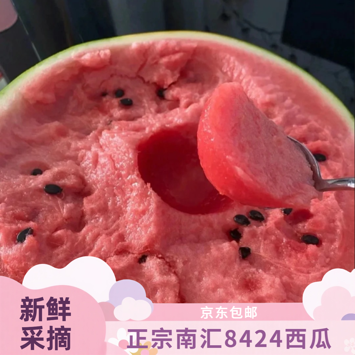 【正宗南汇8424西瓜】精品南汇8424西瓜新鲜采摘西瓜同城送上海市