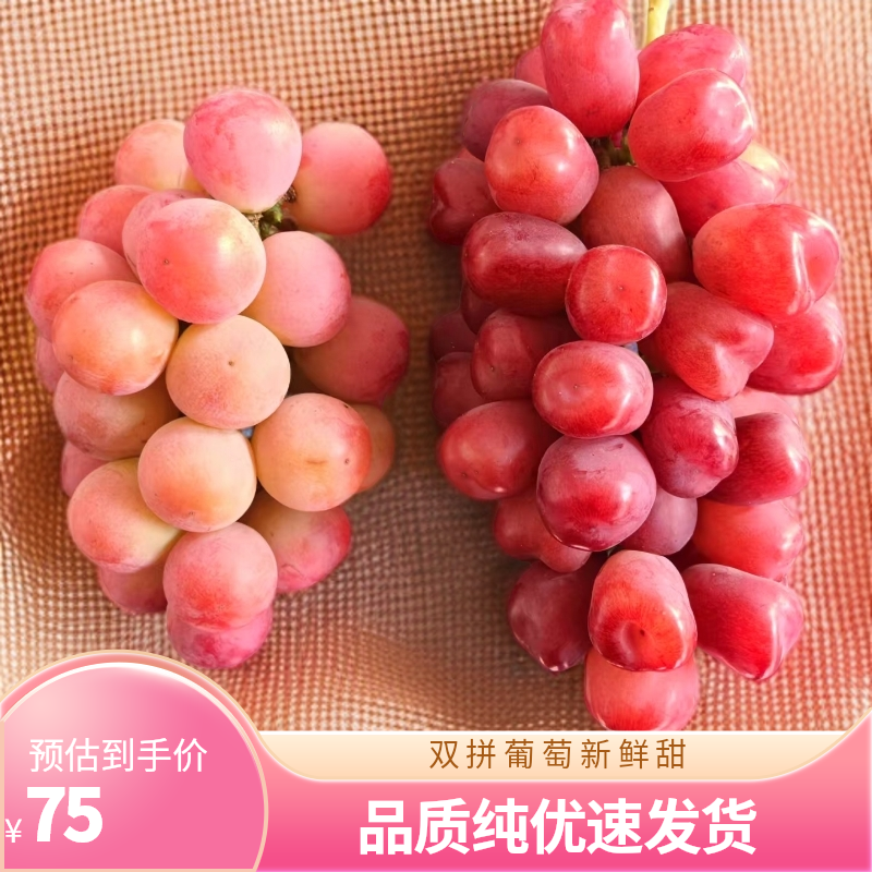 双拼粉黄【妮娜皇后+浪漫红颜】葡萄提子新鲜纯甜无酸顺丰包邮